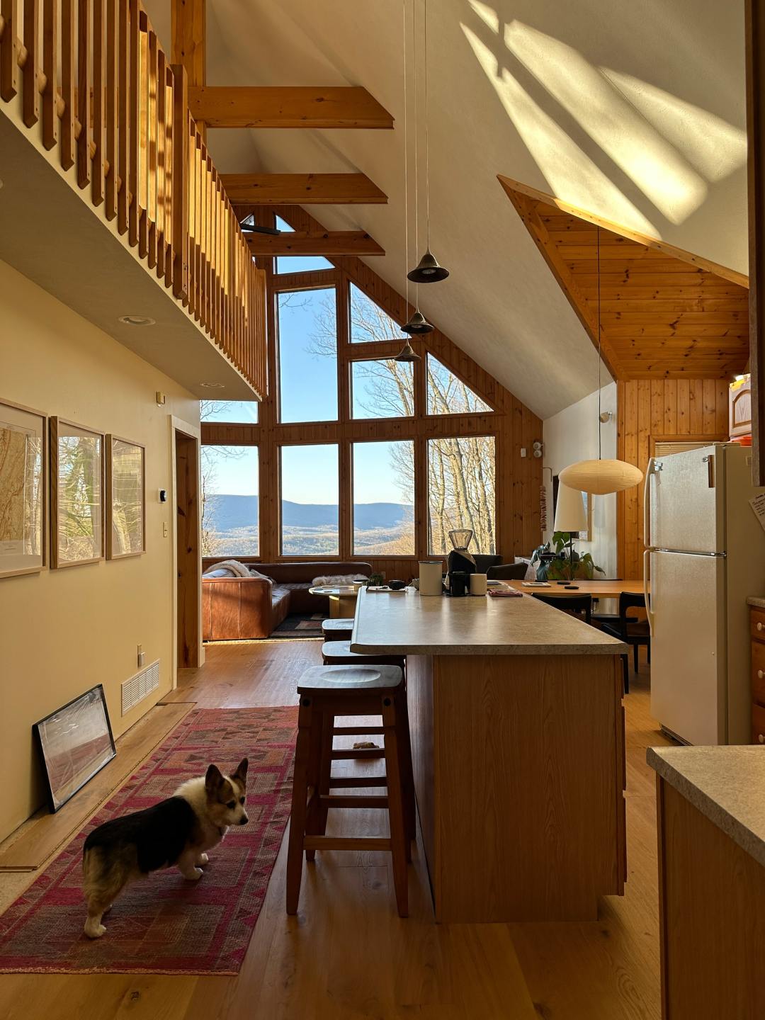 A corgi stands in a dated kitchen in an almost A-frame cabin. 