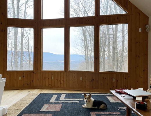 Cabin Living Room View with Corgi