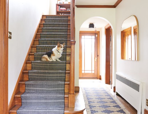 Corgi on stairs with stair runner