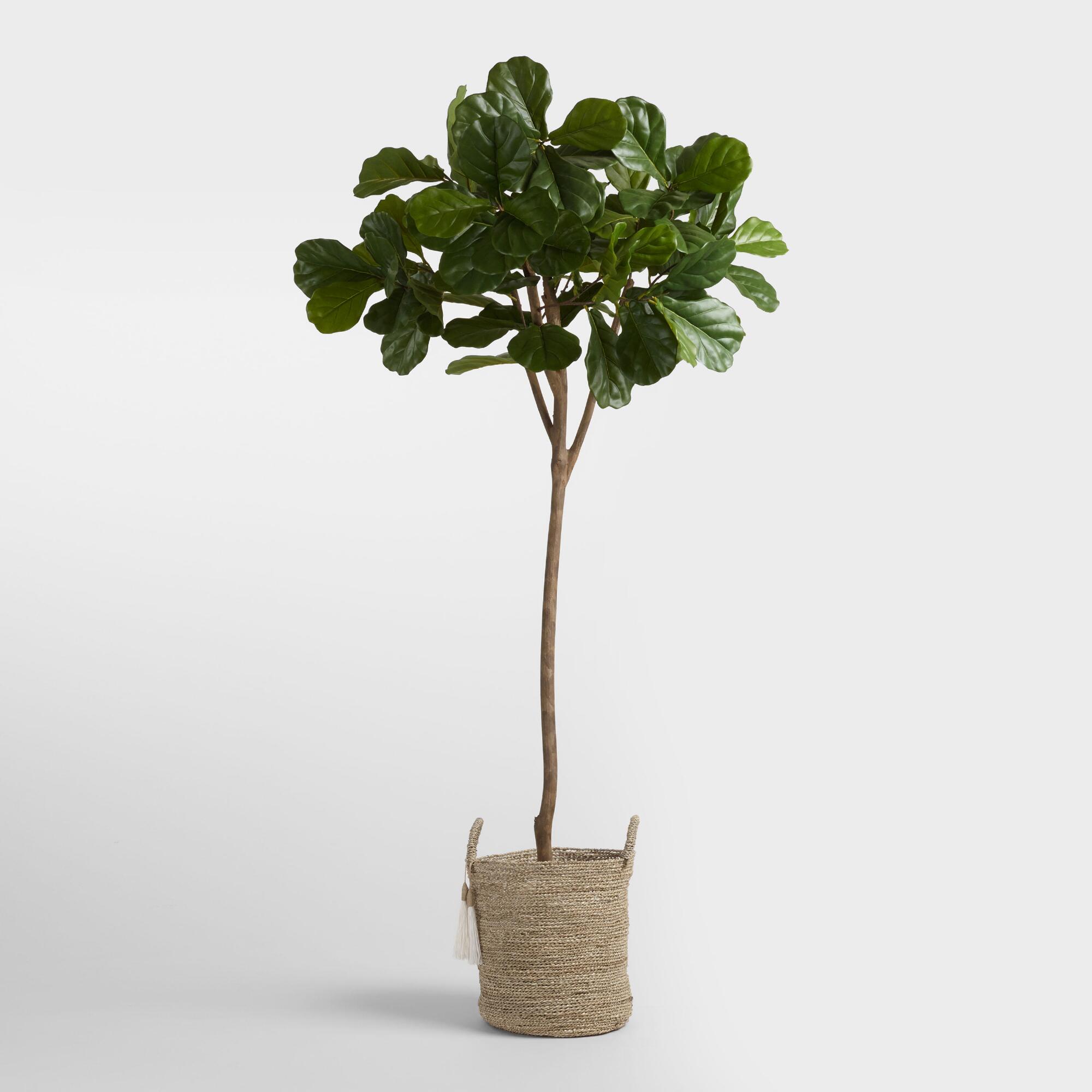 6' Faux Fiddle Leaf Fig Tree Product Photo